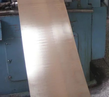 Nickel Alloy Rod/Strip/Wire IN 100 (EMS55089)